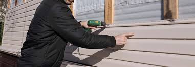 Best Vinyl Siding Installation  in Meadow Vale, KY